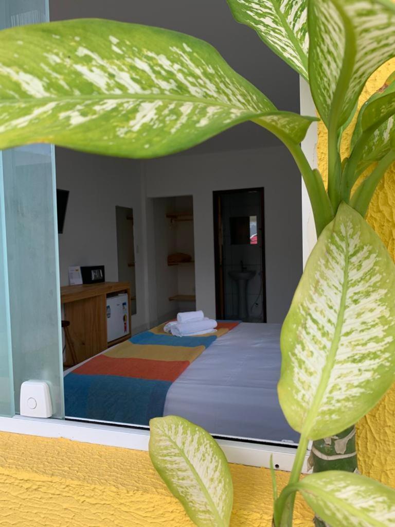 Suits Praia Bonita Em Milagres Hotel São Miguel dos Milagres Cameră foto